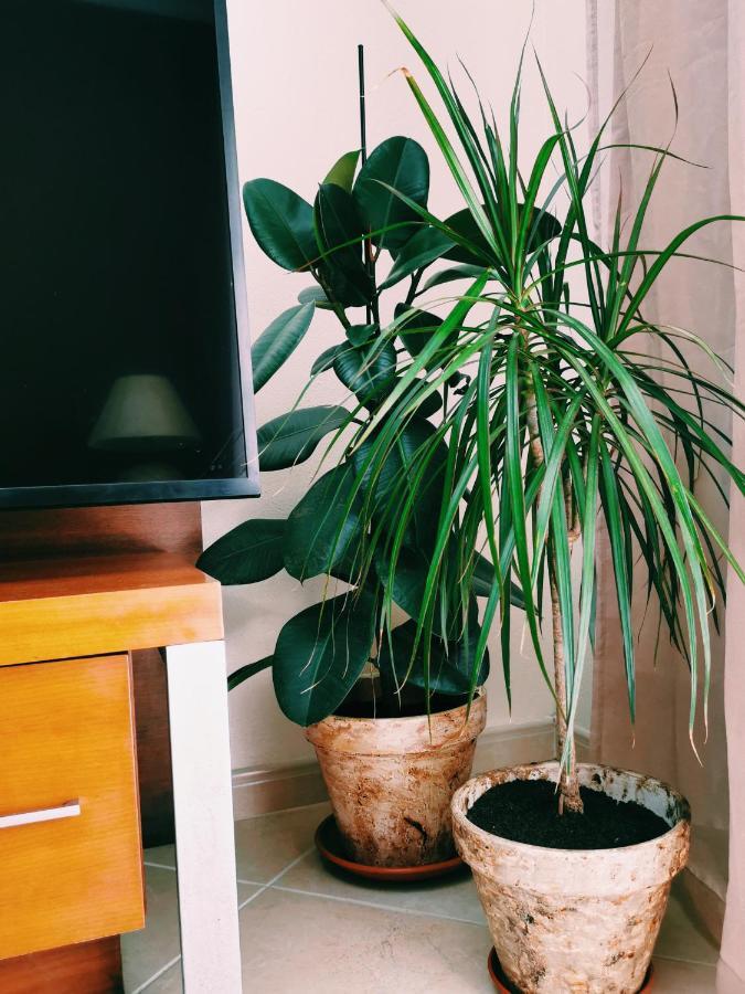 Kintsugi House ลากอส ภายนอก รูปภาพ